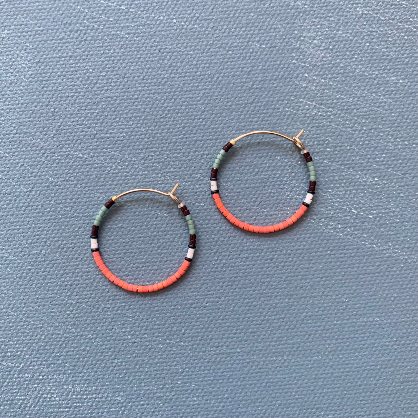 midi colorloop in lepidoptera